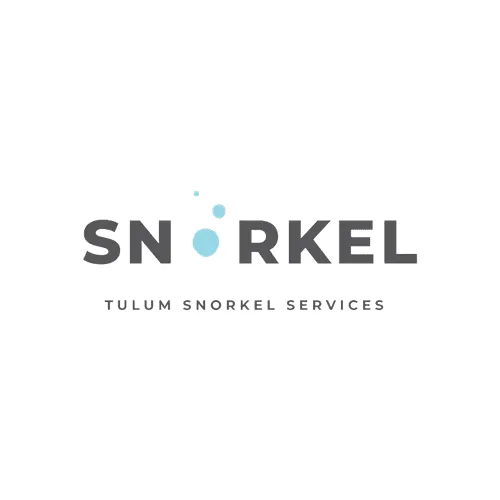 Tulum Snorkel Services