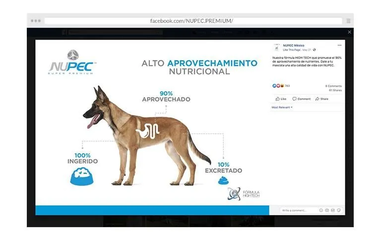 Marketing digital