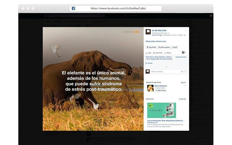 Social Media | Marketing Digital