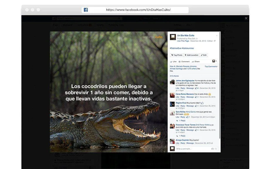 Social Media | Marketing Digital