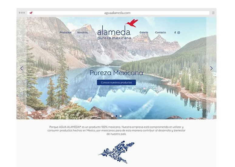Desarrollo web