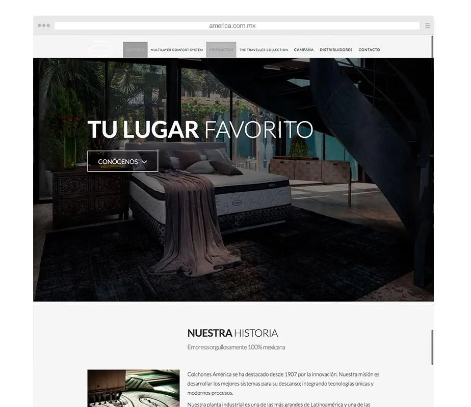 Desarrollo web