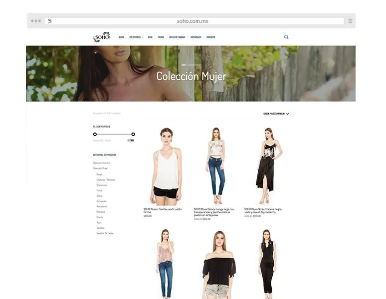 Desarrollo web