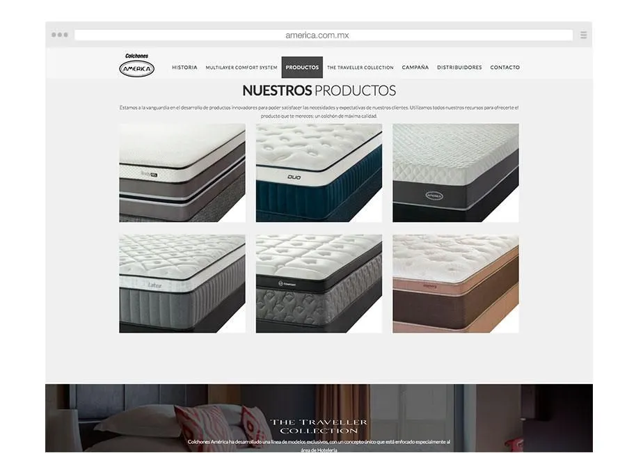Desarrollo web