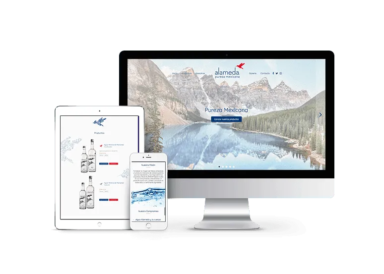 Desarrollo web