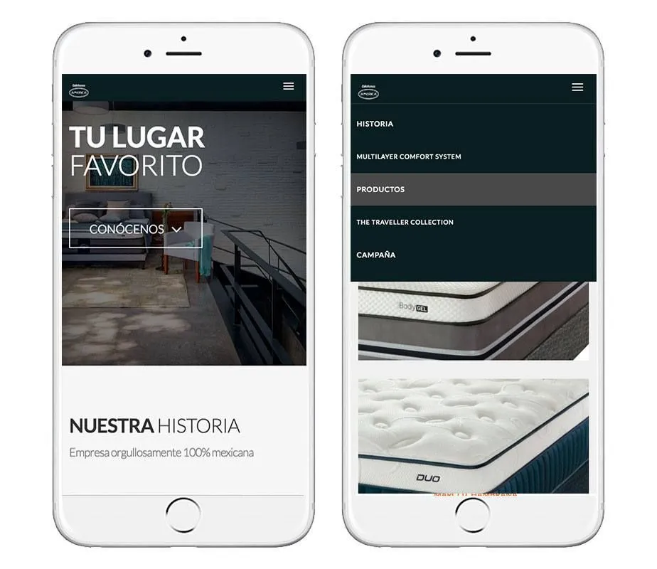 Desarrollo web