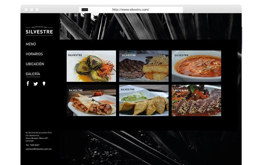 Desarrollo web