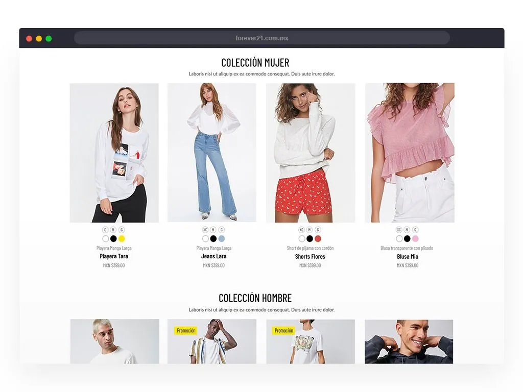 Desarrollo web