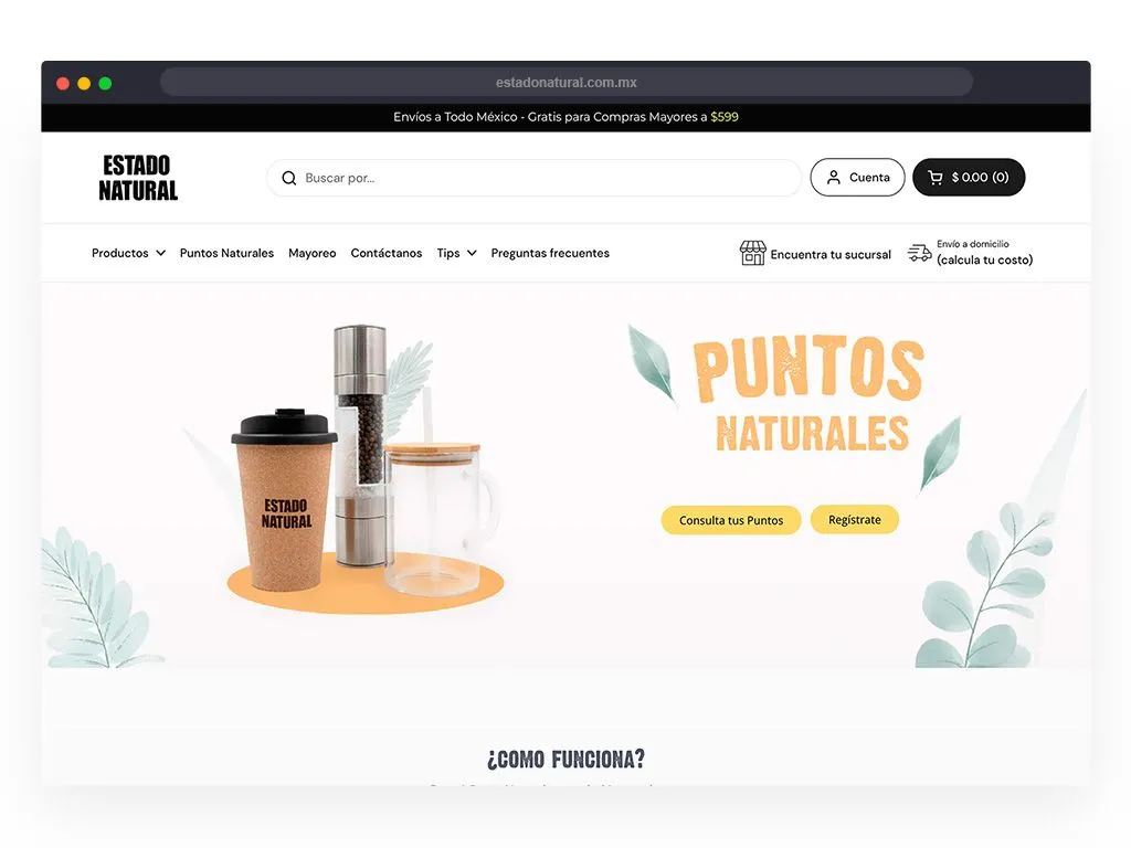 Desarrollo web