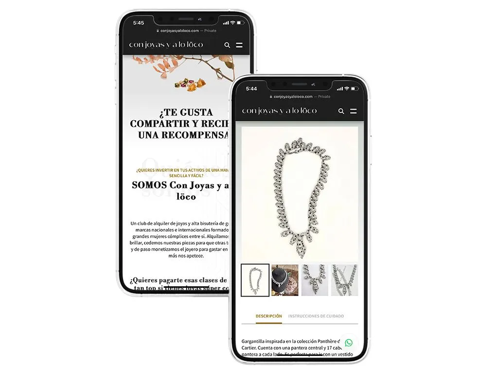 Desarrollo web